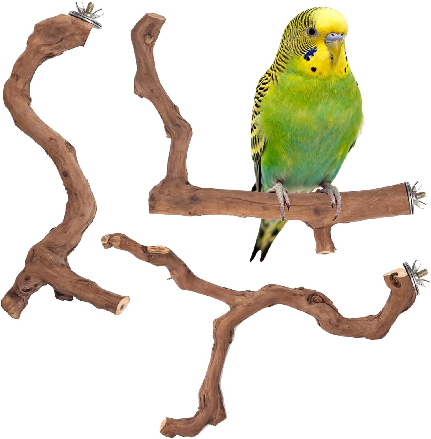 3-Piece Premium Bird Perch Stand with Natural Grape Wood Branch, Paw Grinding Fork, Chewing Stick, Cage Accessories for Parakeets, Budgies, Cockatiels, Finches, Lovebirds