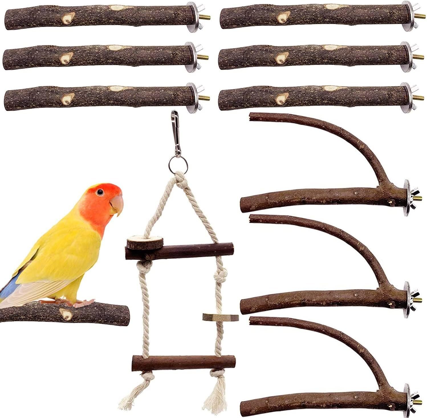 EBaokuup Bird Parrot Perch Set – 10PCS Natural Wood Parakeet Stand, Fork, Rod, Paw Grinding Stick for Budgies, Cockatiels, Conure, Lovebirds