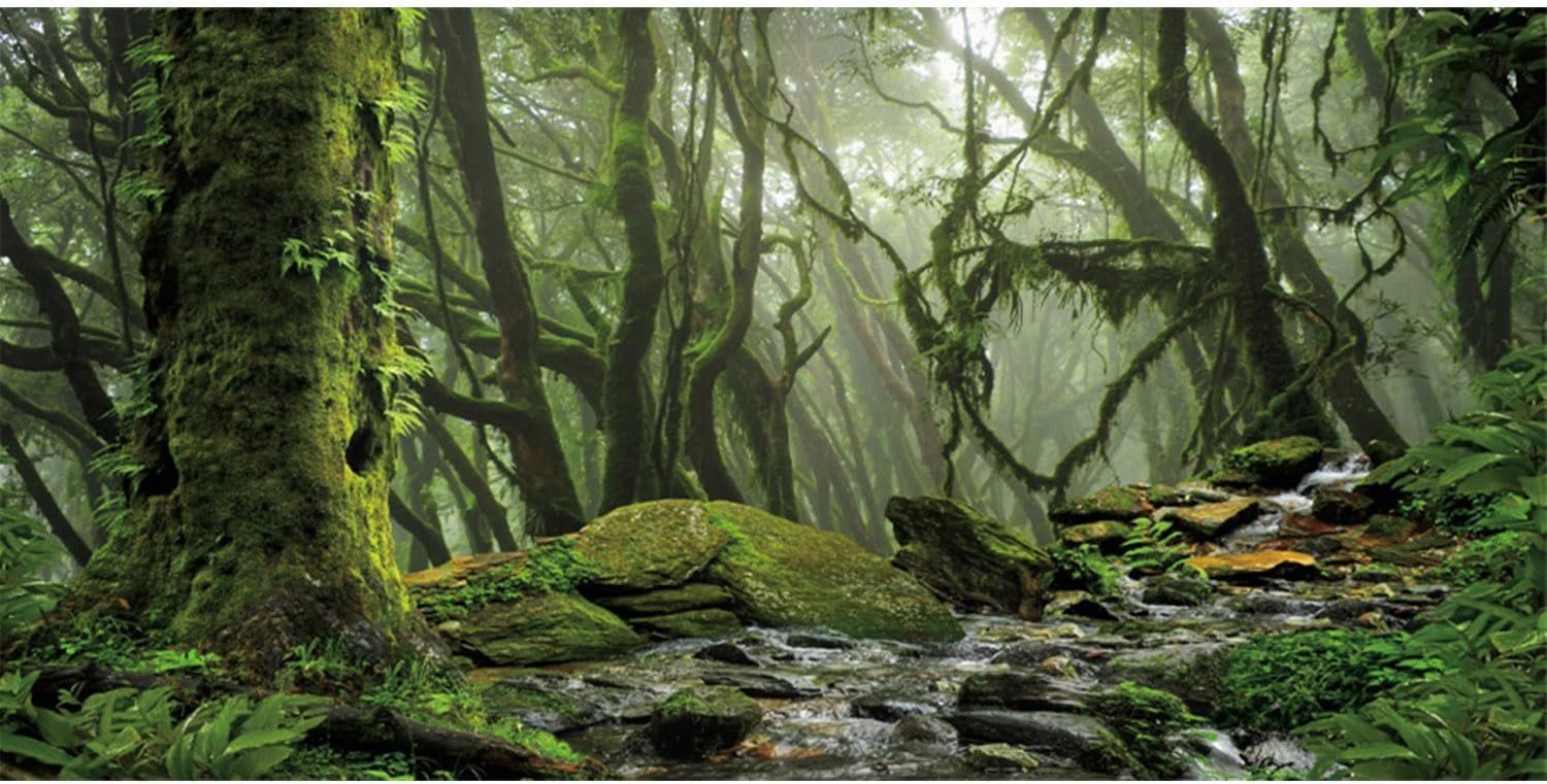 AWERT Foggy Forest Terrarium Background Stream Green Huge Tree Reptile Habitat Background Tropical Rainforest Aquarium Background 36×20 inches Durable Polyester Background