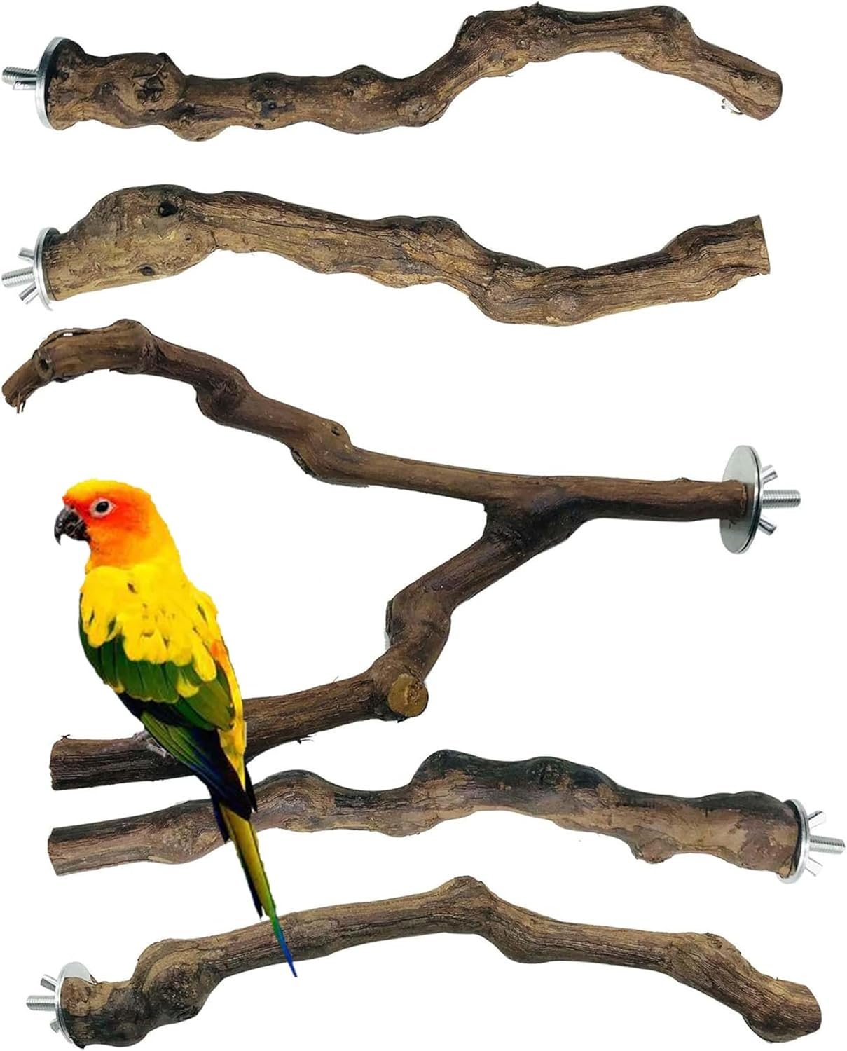 Allazone 5 PCS Natural Grape Stick Perch Swing Chewing Toys for Parrot Cages, Cockatiels, Parakeets, Finches – Bird Standing Stick
