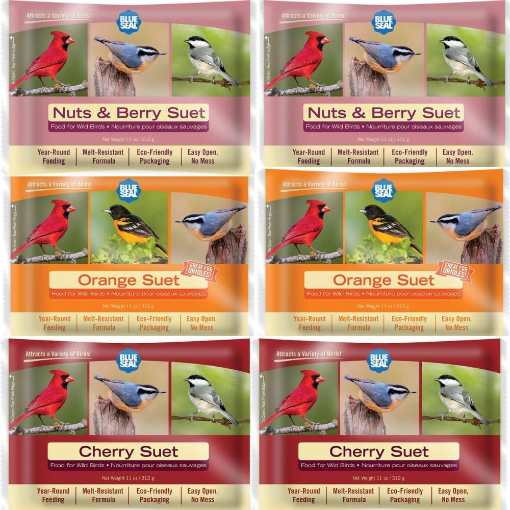 Blue Seal Berry Blend Suet Cakes for Wild Birds – No Mess Suet Feed, Food for Woodpeckers, Cardinals, Siskins, Sparrows & More – 11oz Suet Feeder, Bird Seed Cakes (Variety Pack of 6)