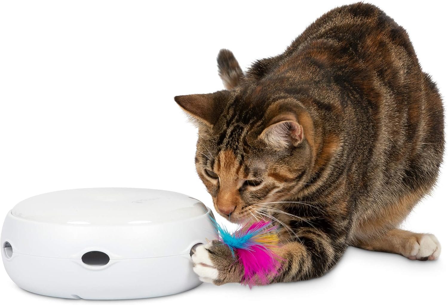 PetFusion Ambush Interactive Cat Toys for Indoor/Outdoor Activity – New & Improved Cat Feather Toys Replacement Feathers Available
