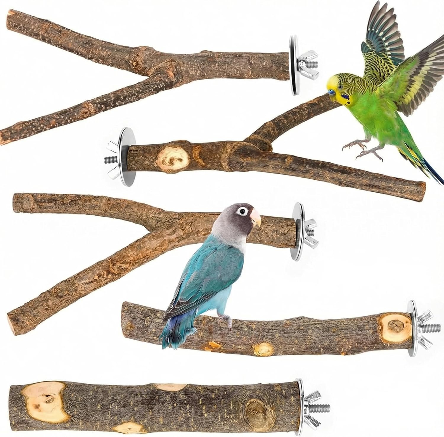 5PCS Natural Wood Bird Perch Set – Straight & Forked Branch Perches Cage Perches Accessories for Small Medium Birds, Parakeets, Budgies, Cockatiels, Conures