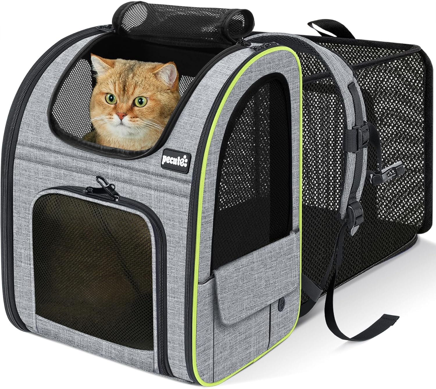 Pecute Cat Backpack Carrier Expandable , Foldable Pet Backpack for Cats & Small Dogs Up to 11lbs, with 4-Side Breathable Mesh, Multi-Entry & Lockable Zippers for Travel, Hiking, Camping – Hands Free,