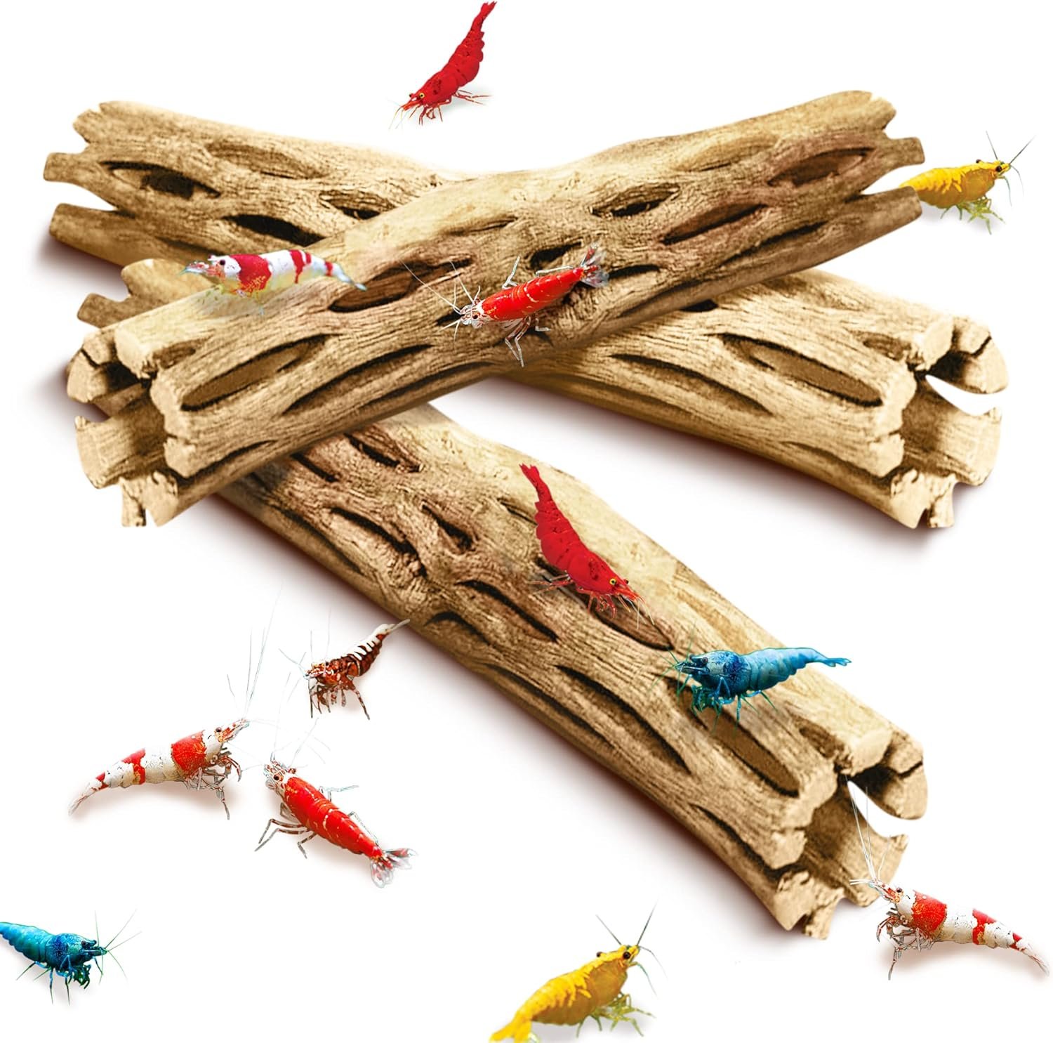 SunGrow Cholla Wood, 6” Climbing Logs, Chew Toy, Aquarium Fish, Snail, and Shrimp Driftwood, Tropical Freshwater Fish Décor, Adds Raw Beauty, 3 Pack