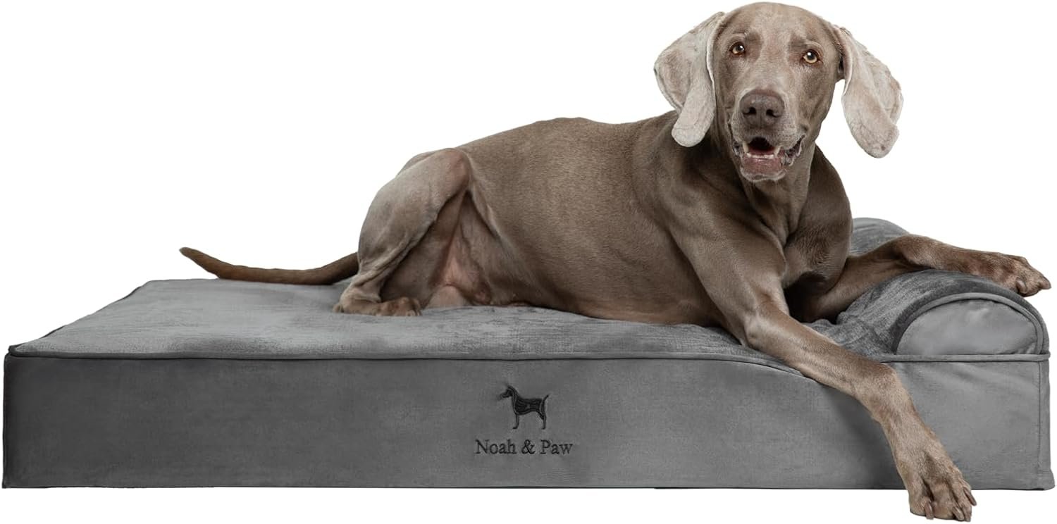 NOAH & PAW XL Dog Bed, 45x35x9.1 Inch, Orthopedic Large Dog Beds, Eggshell Memory Foam Infused with Cooling Gel, Water Resistant, Machine Washable, Includes Inner Cover (Velvet Collection)