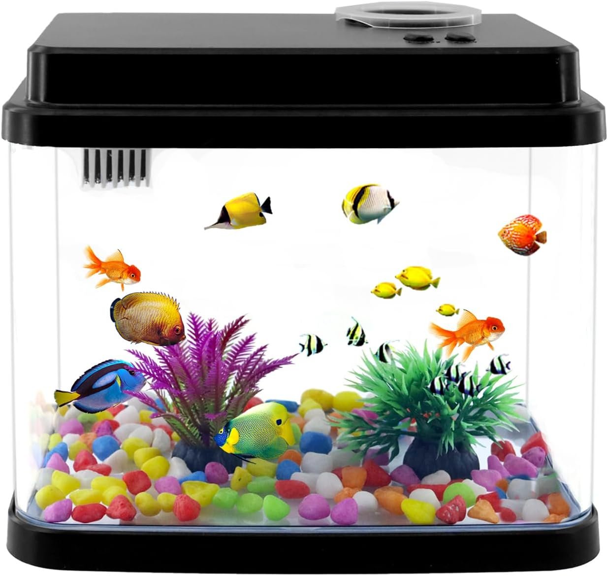 Mini Aquarium Fish Tank, 1 Gallon Fish Bowl | Adjustable 6-Color LED Lamps, Filtration, Oxygenation, Water Circulation 3 in 1 Filter, Excellent Gifts for Starter
