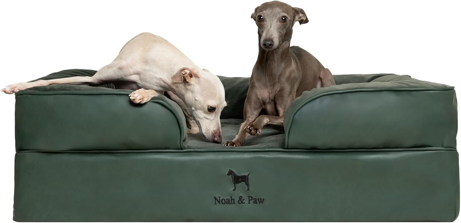 NOAH & PAW Large Dog Bed, 35x25x11 Inch, Orthopedic Dog Beds, Eggshell Memory Foam Infused with Cooling Gel, Inner Cover, Water Resistant, Machine Washable (Faux Leather)