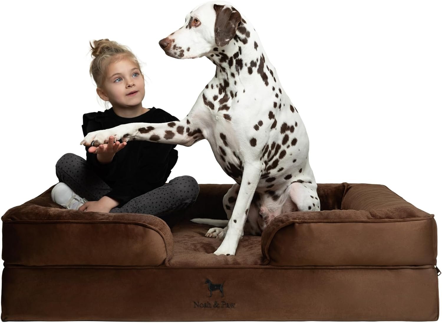 NOAH & PAW XL Dog Bed, 45x35x11 Inch, Orthopedic Large Dog Beds, Eggshell Memory Foam Infused with Cooling Gel, Inner Cover, Water Resistant, Machine Washable (Velvet Sofa Collection)