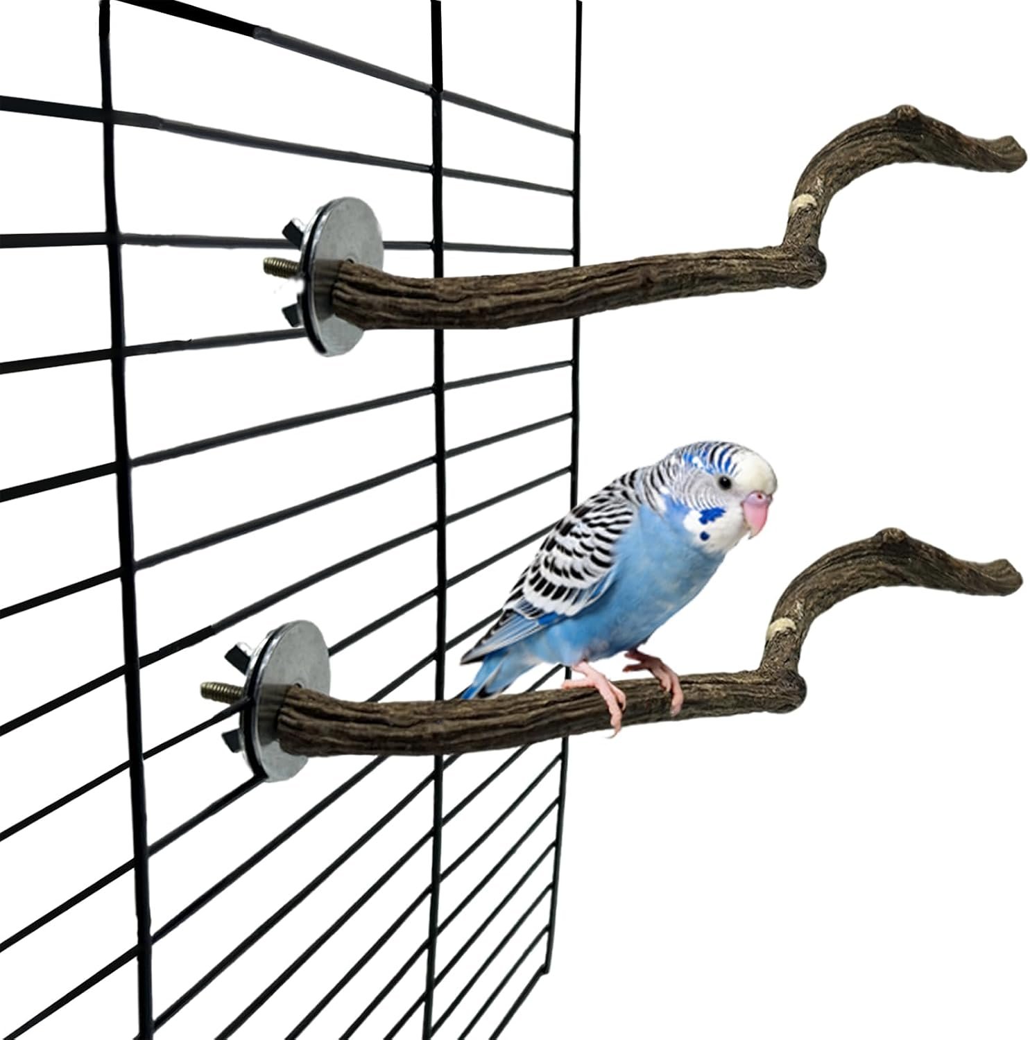 Bird Perches for Cage 2PCS Parrot Perch Wooden Bird Stand Cage Accessories for Budgies Cockatiels Finches Lovebirds Parakeet (Burlywood, 2 PCS)