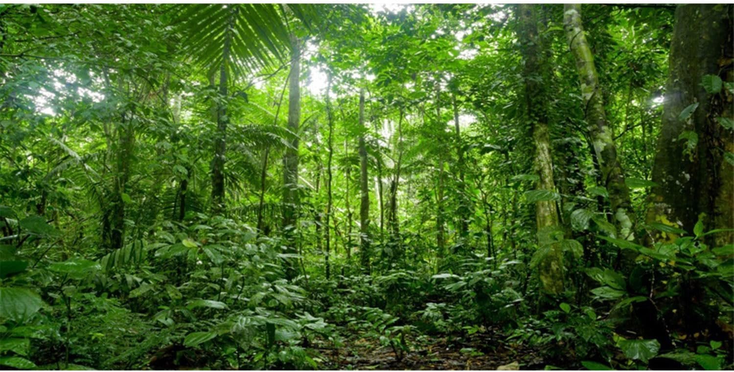 48×18 in Tropical Terrarium Backdrop Green Tree Reptile Habitat Background