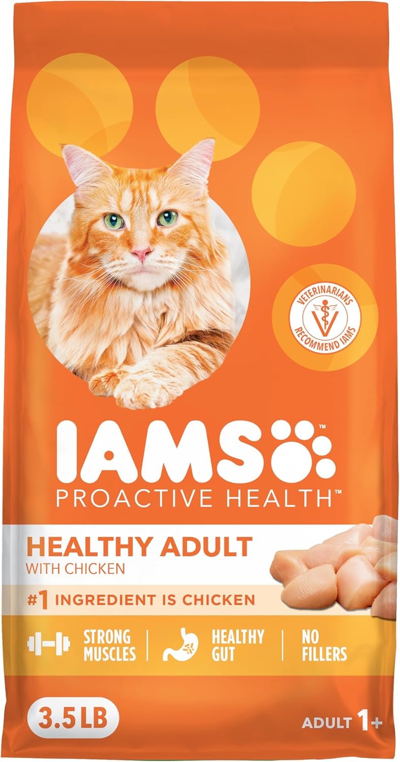 IAMS Proactive Health Healthy Adult Dry Cat Food, Chicken, 3.5 lb | Veterinarian-recommended, Real chicken #1 ingredient, chicken & egg protein, wholesome grains for energy, supports muscles