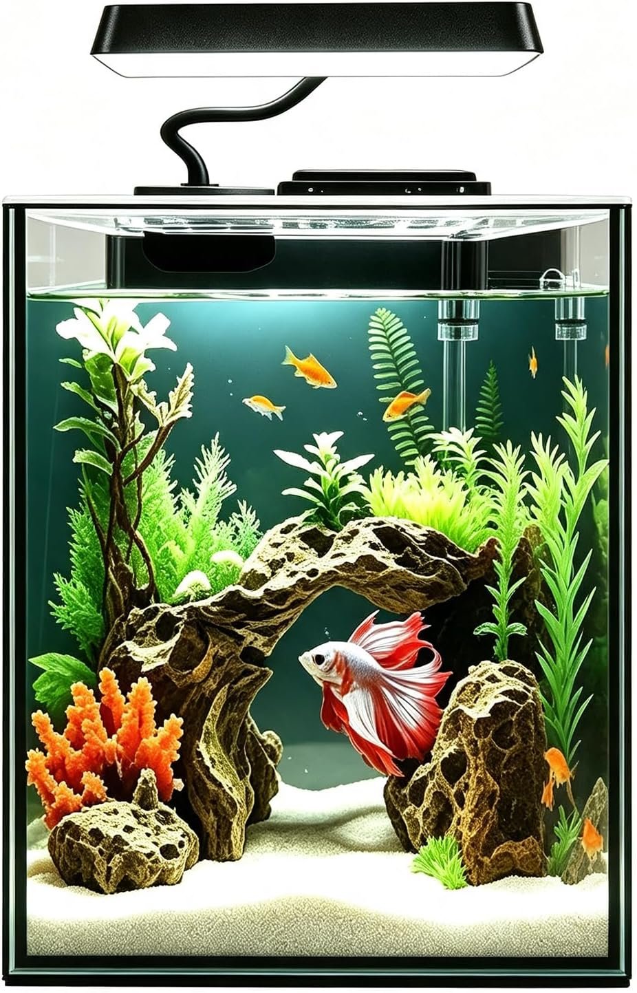 Glass Betta Aquarium Starter Kits 1.5 Gallon Small Fish Tank, Betta Fish Tank with LED Light, Power Filter, Black. 4mm Glass