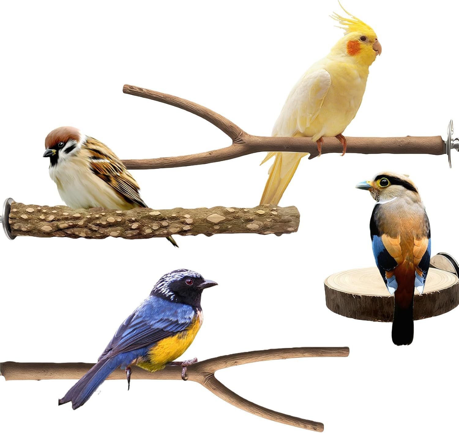 Bird Cage Stand Perches – 4pcs Natural Birds Hanging Wood Platform Multi-Branch Perches for Macaws Conures Budgies Parakeets Parrot Cage Accessories