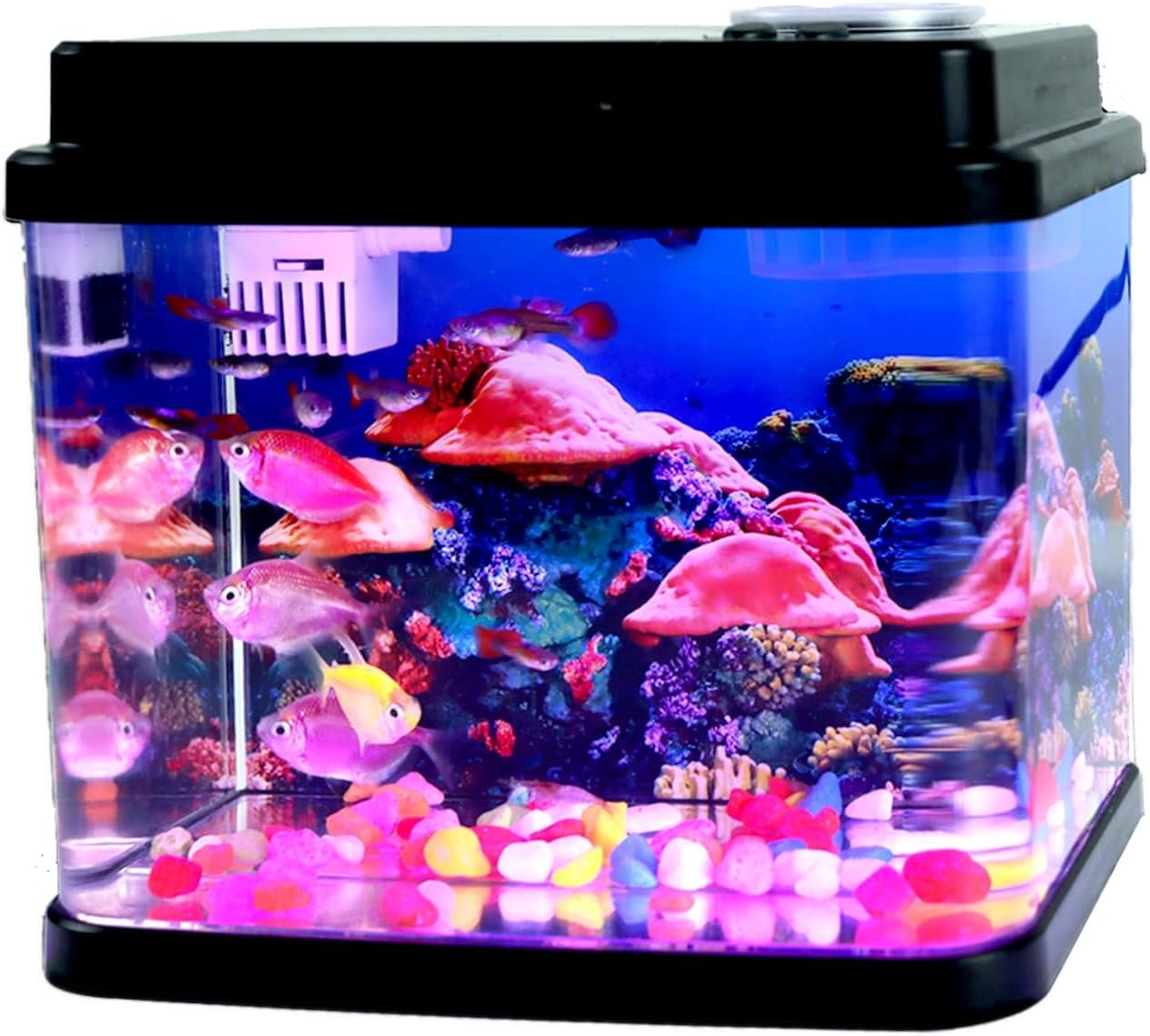 Mini Fish Tank Small Aquarium 1 Gallon Fish Bowl | 6 Color Auto-Looping Light, 3 in 1 Quiet Filter with Filteration & Oxygenation & Circulation, Submarine Background
