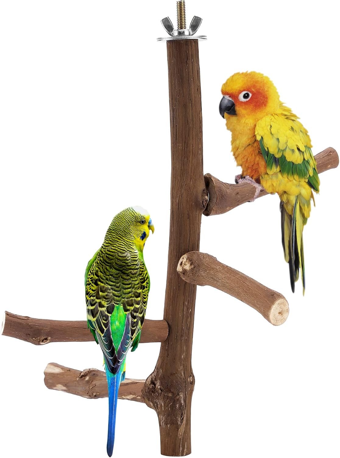 CozyCabin Natural Bird Perch Stand for Cage, Hanging Multi Branch Grapevine Parrot Perch Bird Cage Toys for Small Budgies Conure Parrot Parakeets Cockatiels Lovebirds