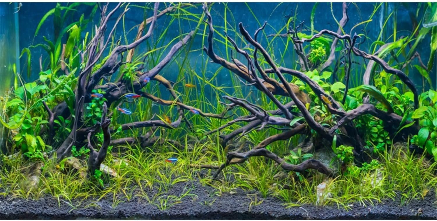 48×24 inches Tropical Fish Tank Background Aquatic Plant Aquarium Backdrop | AWERT River Bed & Lake Undersea Tree Branch Terrarium Background, Vinyl