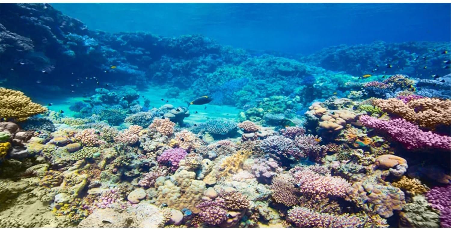 Aquarium Background Coral Tropical Undersea Fish Tank Backdrop 36×20 inches