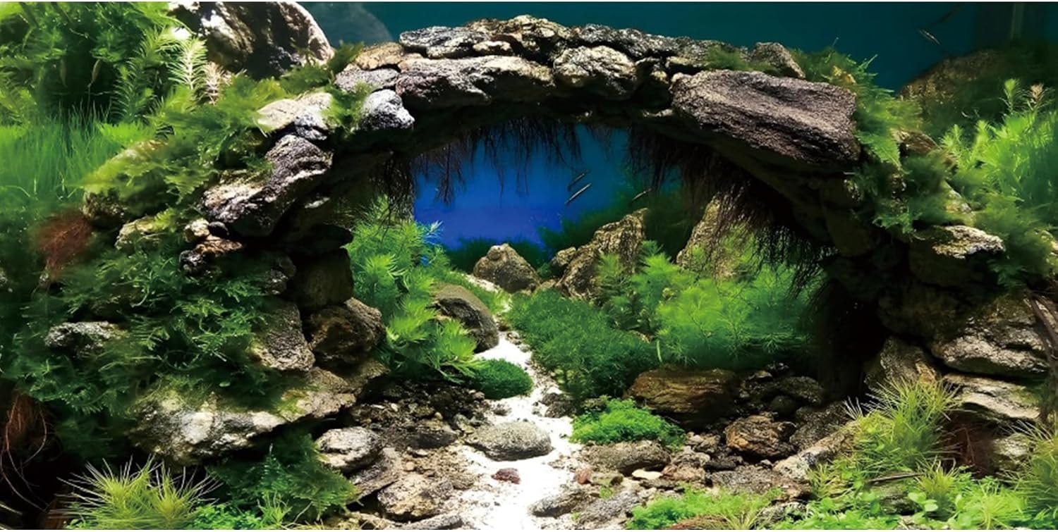 24×16 in Arch Stone Aquarium Backdrop Aquatic Plant Fish Tank Background | AWERT River Bed & Lake Vinyl Terrarium Background