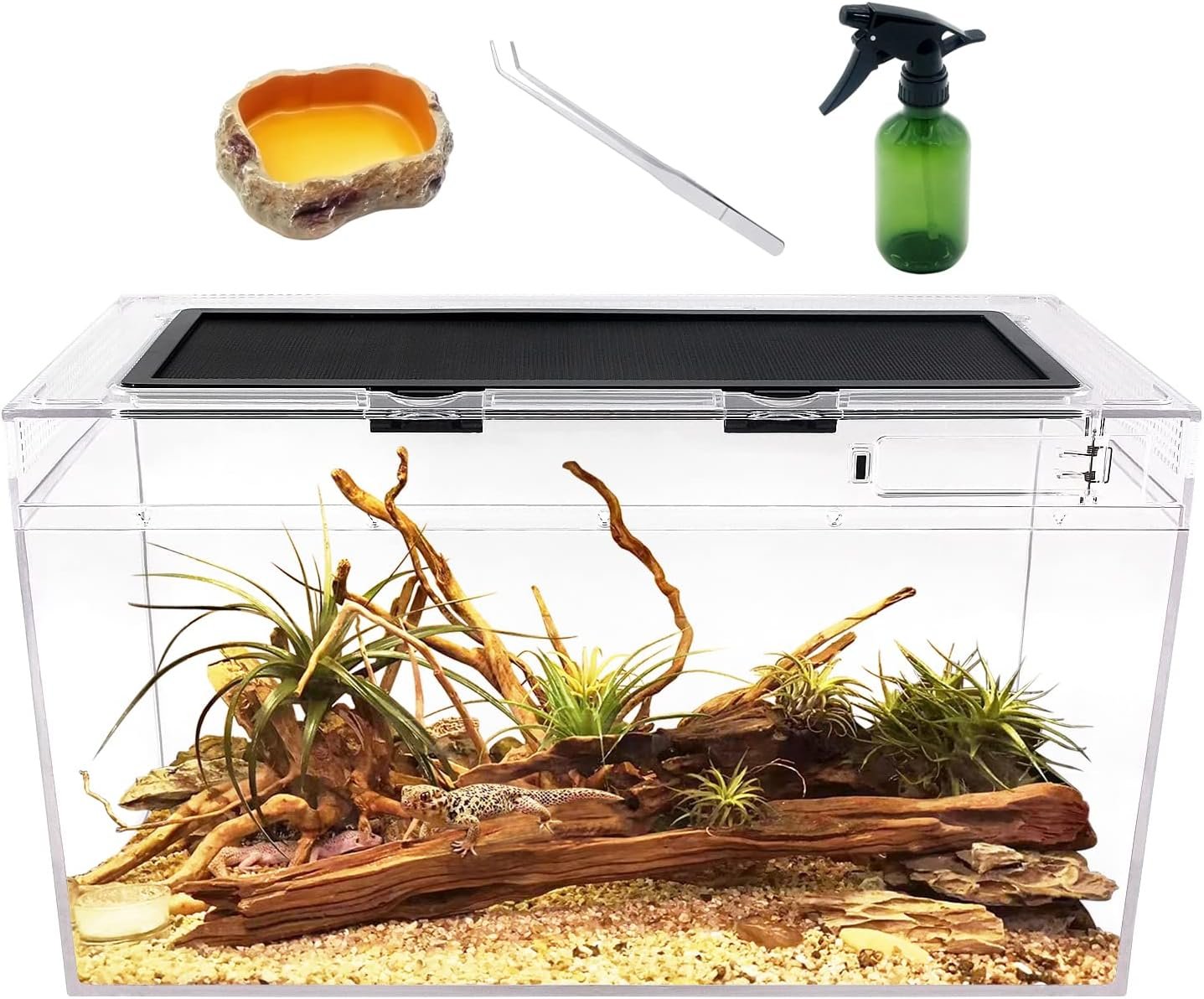 Reptile Growth Reptile Terrarium,10 Gallon Reptile Tank 20″ x 10″x 11″,for Insect，Fish，Tarantula，Hermit Crab，Jumping Spider，Iguana，Tortoise，Leopard Gecko，Bearded Dragon