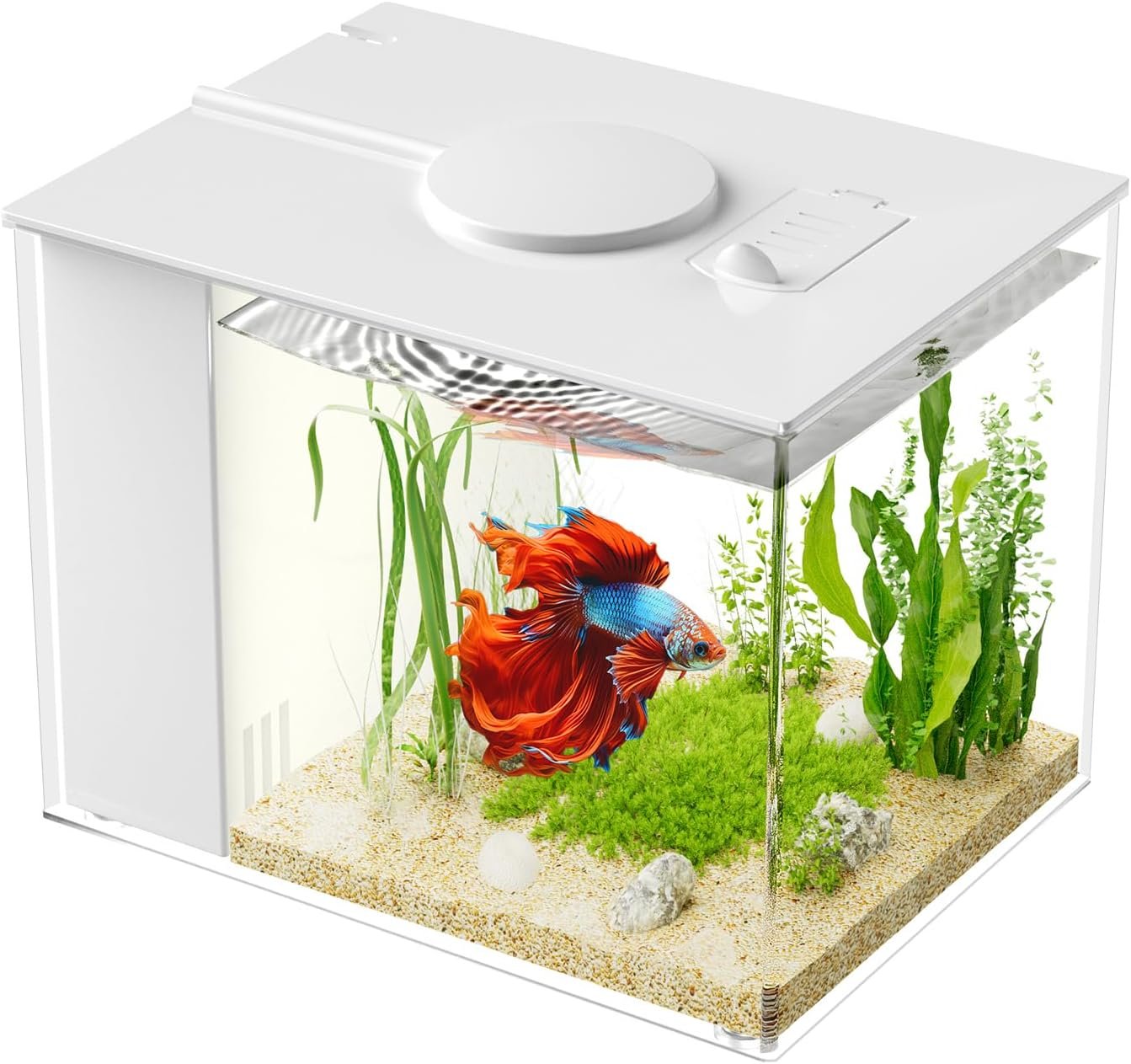 Vehipa 3.7L (1 Gal) Betta Fish Aquarium, Acrylic Small Fish Tank Kit with Water Filter Pump & LED Light, Ideal for Small Fish, Plants and Shrimp, White