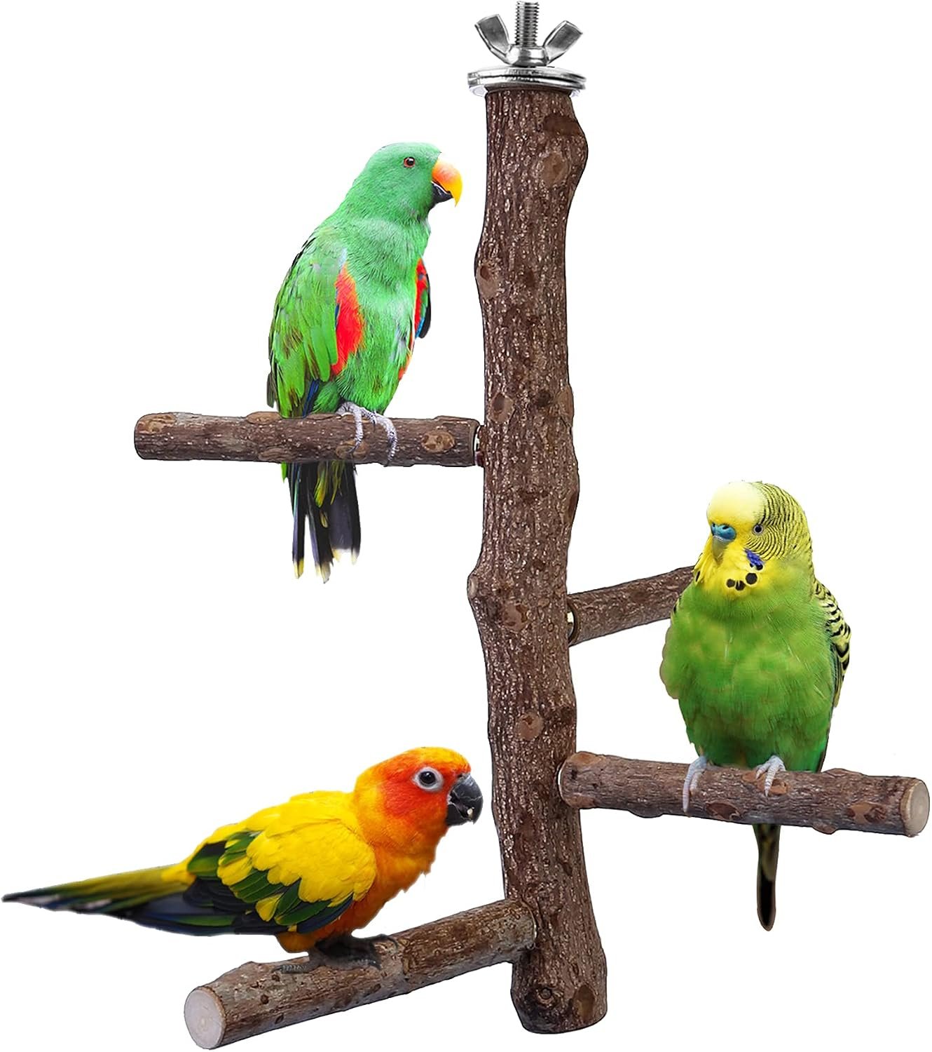 Bird Perch Stand Toy Natural Wood Bird Cage Branch Perch 10 Inch | Natural Wood Perch Stand w/ 4 Branches Bird Cage Inside Accessories Bird Toy for Parakeet Cockatiel Conure Finches Love Birds