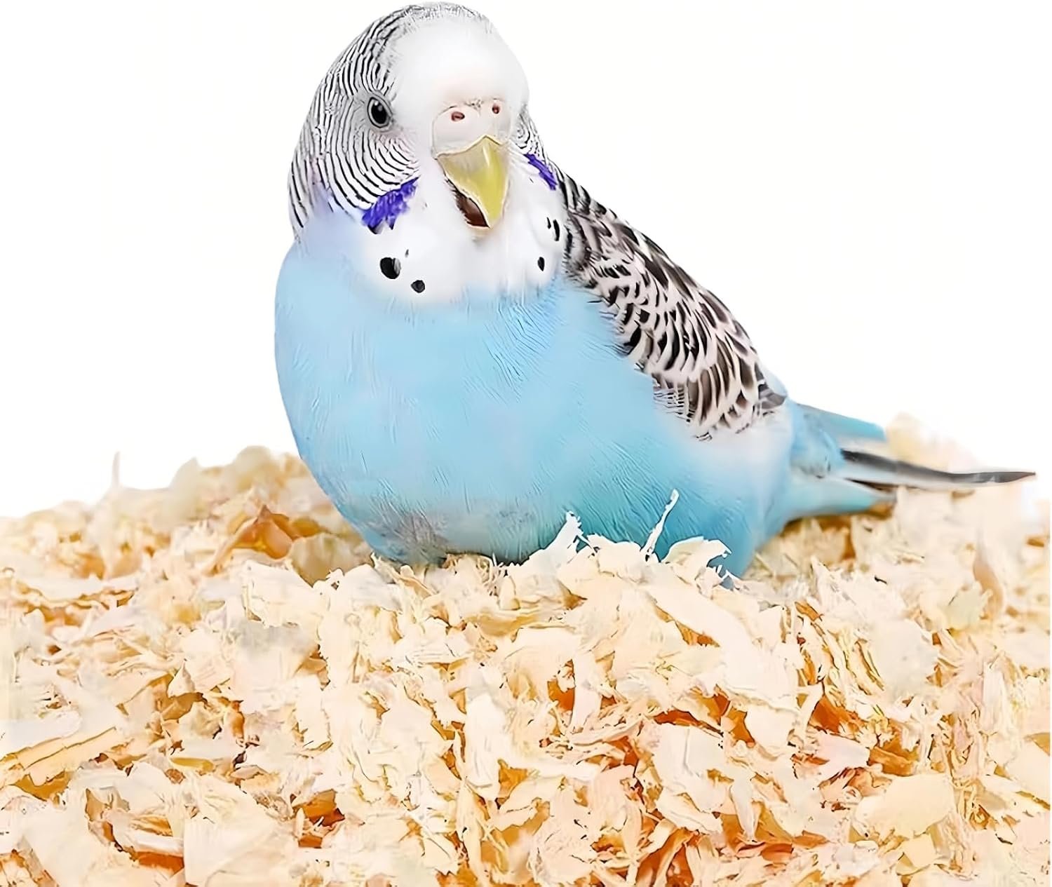 MANON ROSA Wood Shavings for Bird Bedding – Natural Aspen Soft Low-Dust & Odor-Control Nesting Material for Parakeets Parrots Rabbits Cockatiel for Cages, Nest Boxes, Small Pet Litter