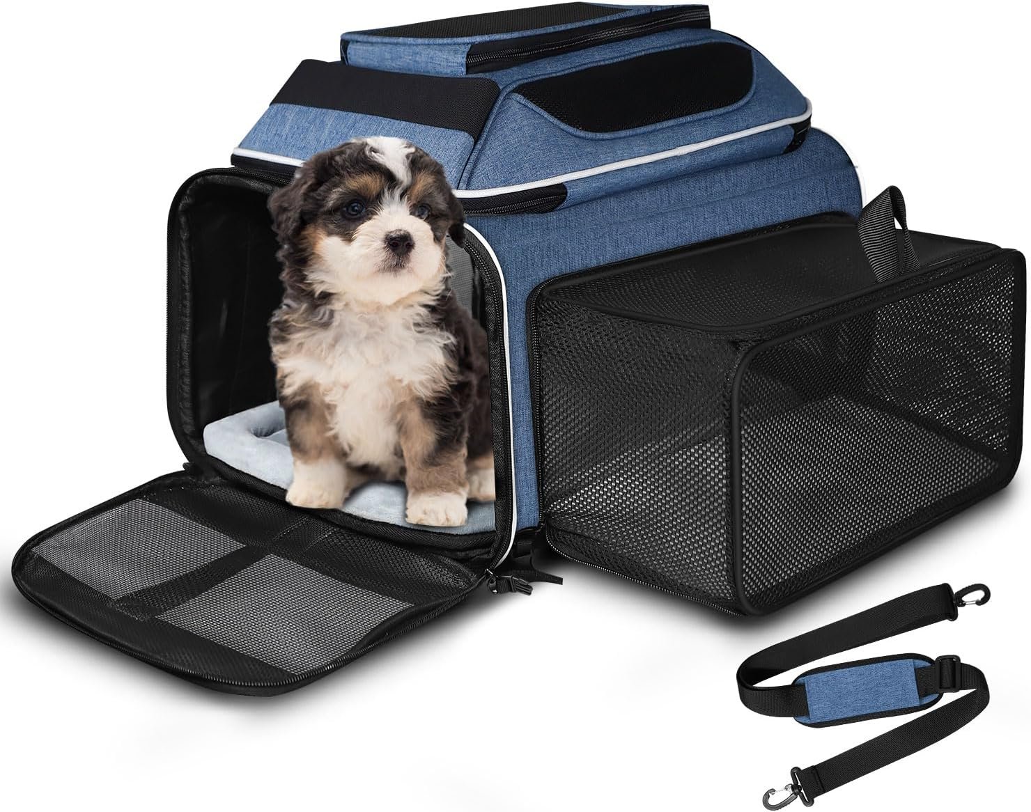 Petskd Top and Side Expandable Small Pet Carrier Airline Approved, Blue