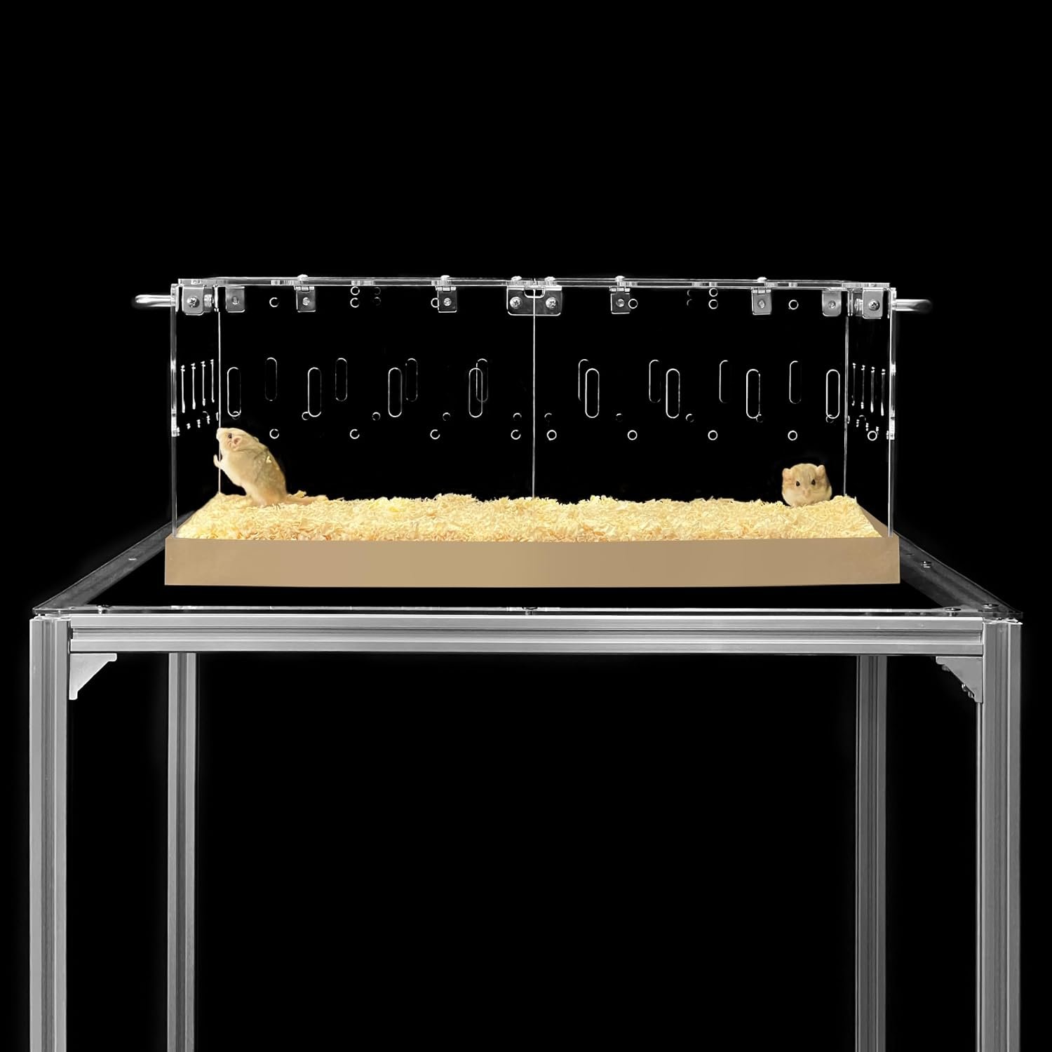 GuineaLoft™ Acrylic Cage (Model-P3) – Small 2×1′ Enclosure w/Lid & Bottom