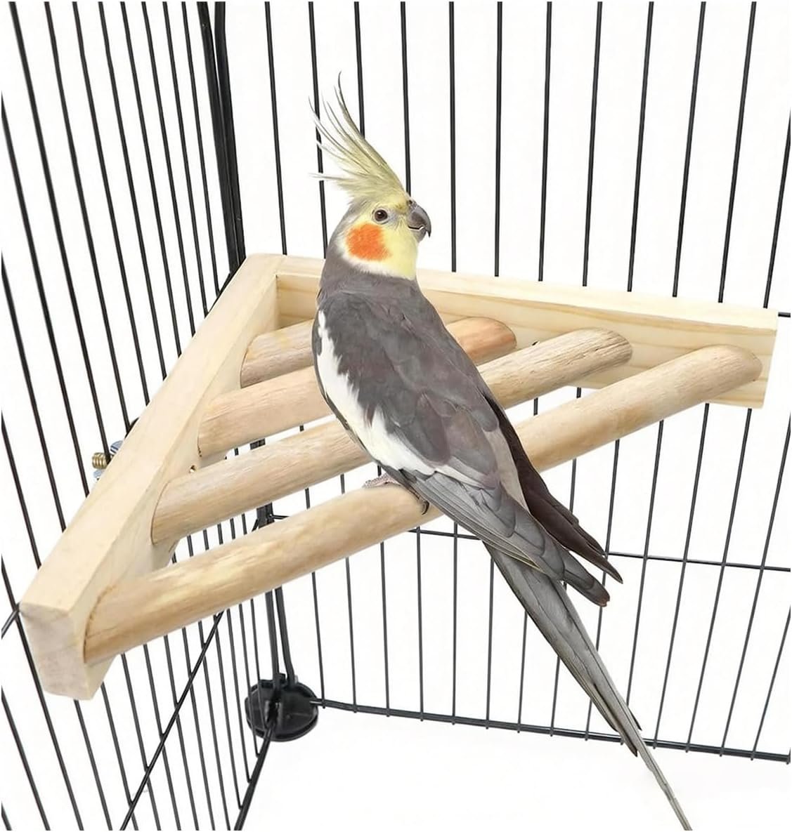 Litewoo Bird Perch Corner Platform Stand Shelf for Parrot Budgie Cage, 1PC | Natural wood, bird chew stand toy for parakeet/cockatiel/conure/cockatoo, smooth polished surface, corner cage space saver