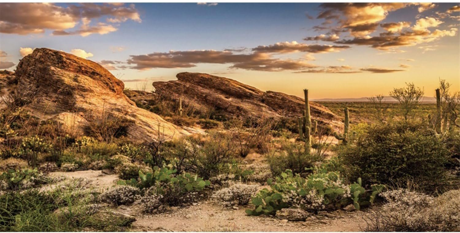 36×18 in Desert Reptile Habitat Backdrop Oasis Cactus Terrarium Background