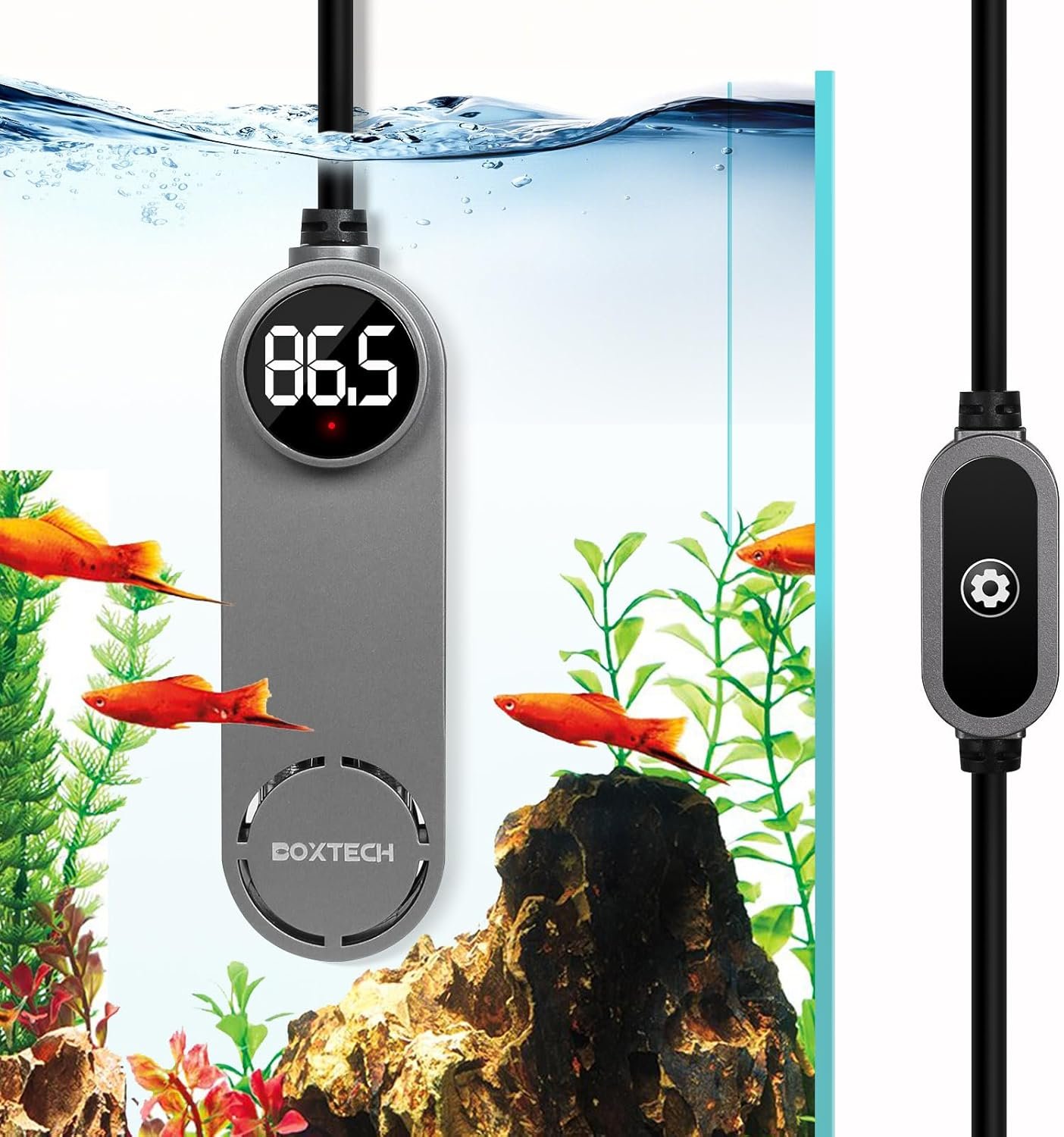 boxtech Small Fish Tank Heater – Mini Aquarium Heater | 50w Submersible Turtle Heater with Adjustable Temperature External Controller for 3 to 12 Gallon Betta Aquarium Tanks