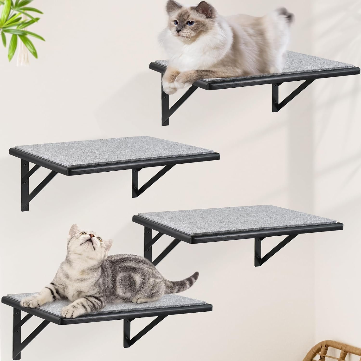 Cat Wall Shelves Set of 4, Purrfect Cat Furniture Set – 4 Piece Wooden Wall Shelves with Scratching Pad, Sleeping & Playing Area, Window Perch for Large Cats – Black