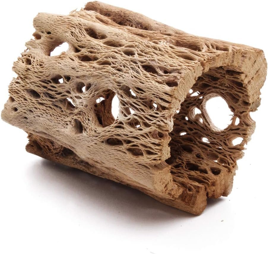 3, 6, 9, 12 Inch All Natural Teddy Bear Cholla Wood Extra Hollow Untreated Organic Aquarium Driftwood Decoration Chew Toy Shrimp Crab Cichlid Nano Tank Birds 1 or 5 Pieces (1 Piece, 3 inch)