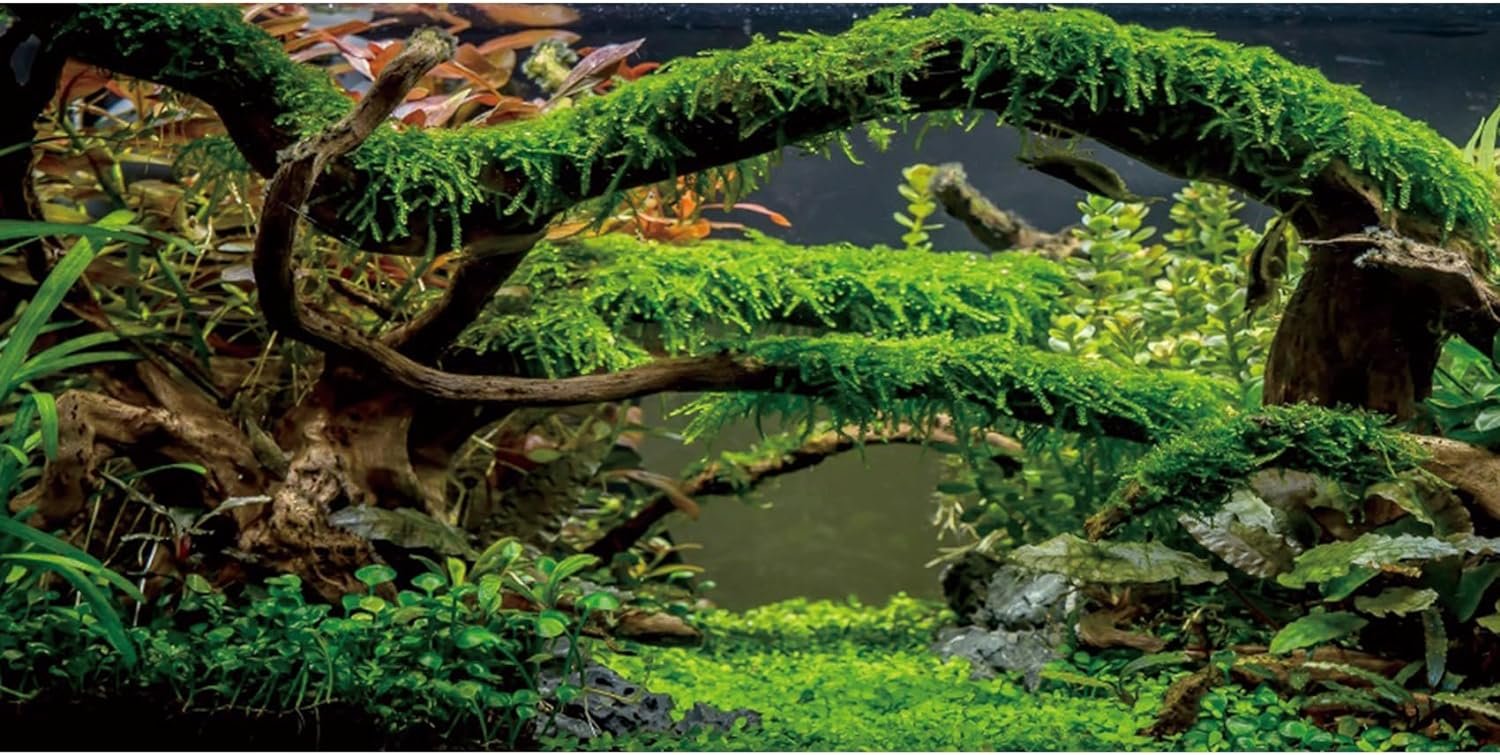 48×24 in Arch Branch Aquarium Backdrop Aquatic Plant Fish Tank Background | AWERT Moss Driftwood River Bed & Lake Terrarium Background Vinyl