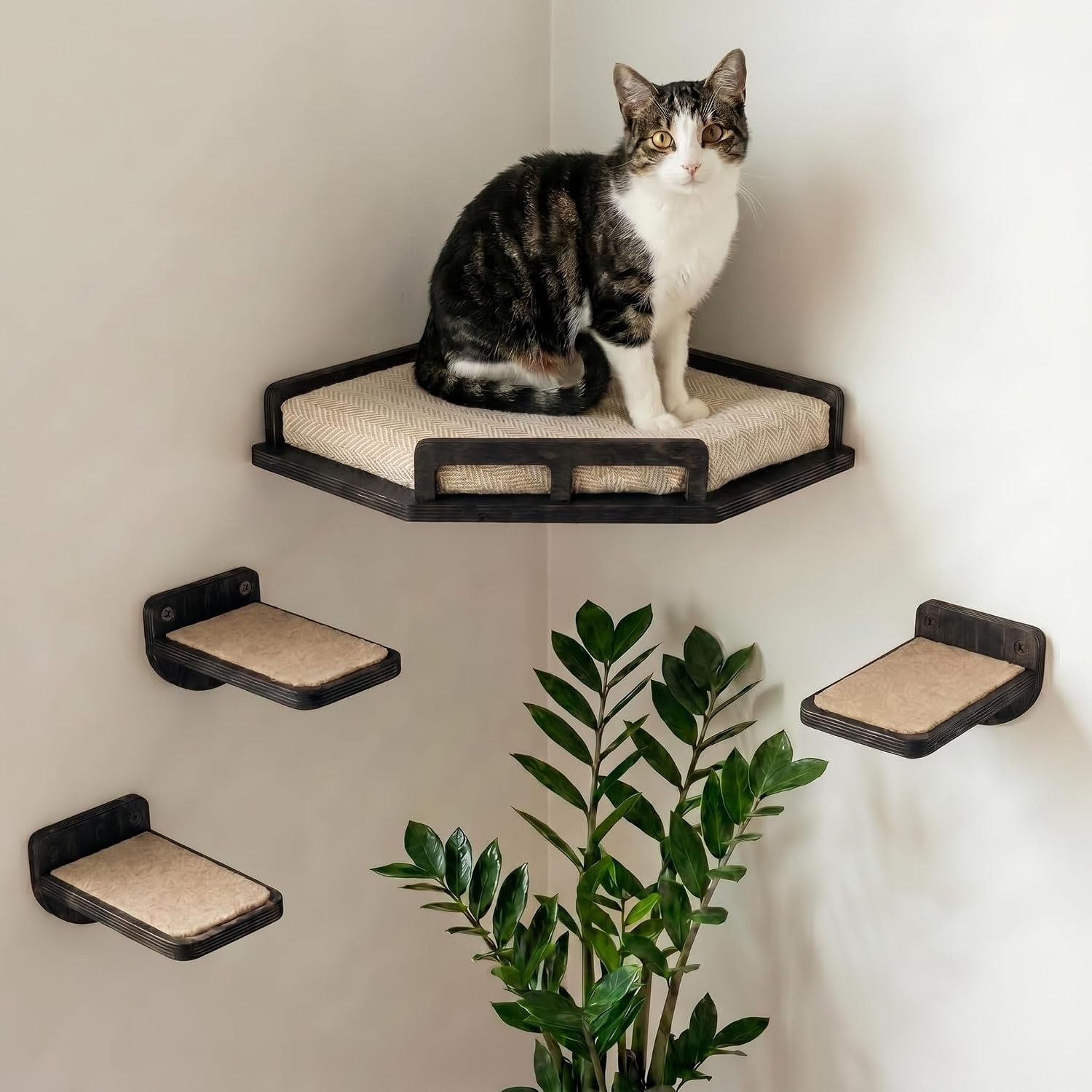 INICIO Cat Wall Shelves – Corner Shelf with 3 Cat Wall Steps – Black | Safe and Sturdy Cat Shelves for wall, Steps and Shelf for Indoor Cats up to 15lbs – Cushioned Perch for Climbing and Playing