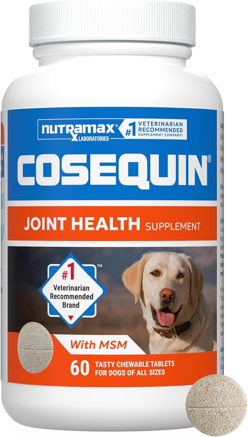 Nutramax Cosequin Joint Supplement, Glucosamine for Dogs, Chew Tabs, 60ct | Glucosamine & Chondroitin for Dogs, Supports Healthy Joints, Chewable Tablets for All Breeds & Sizes, All Ages