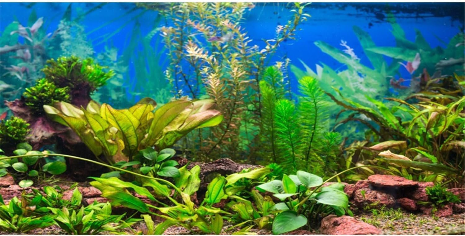 48×20 in Aquatic Plant Aquarium Backdrop Riverbed Fish Tank Background