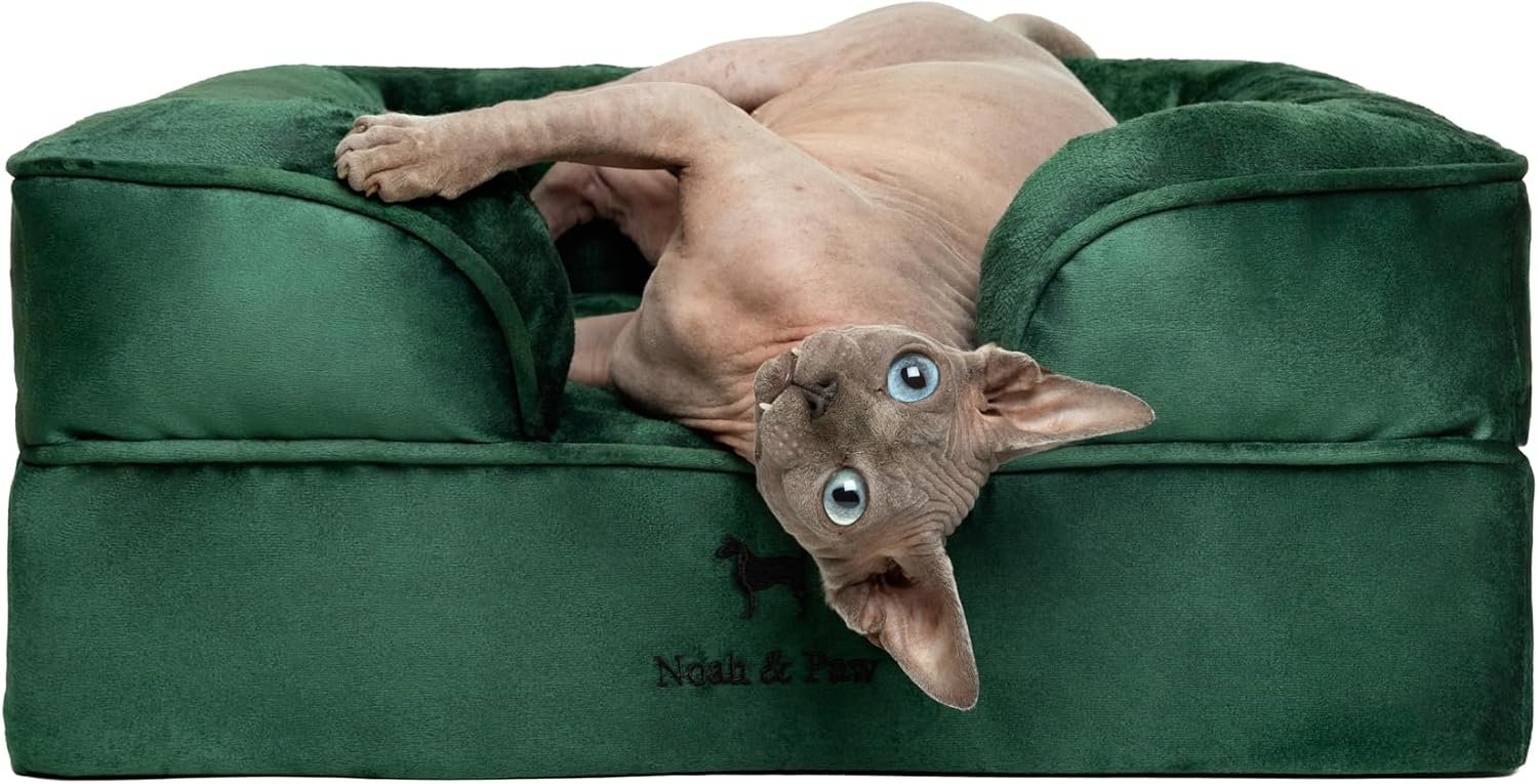 NOAH & PAW Small Dog Bed, 20x15x8 Inch, Cat Bed for Indoor Cats, Orthopedic Eggshell Memory Foam Infused with Cooling Gel, Water Resistant Inner Cover Machine Washable (Velvet Collection)
