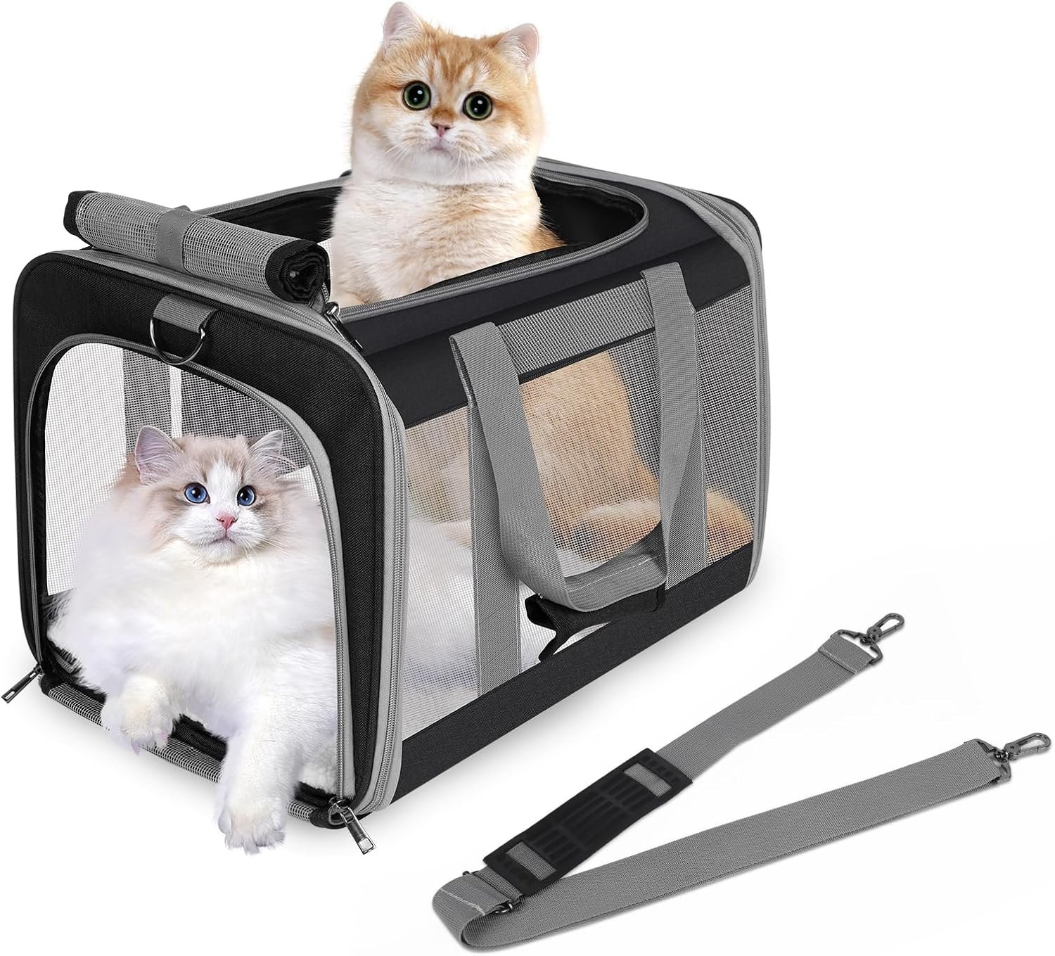 Cat Carrier for Large Cats up to 20 Lbs,Soft-Sided Pet Carrier for Large and Medium Cats, Small Dogs,Puppies,Collapsible Dog Carrier Travel Bag with 2 Storage Bags,4 Mesh Windows (Black, Medium)
