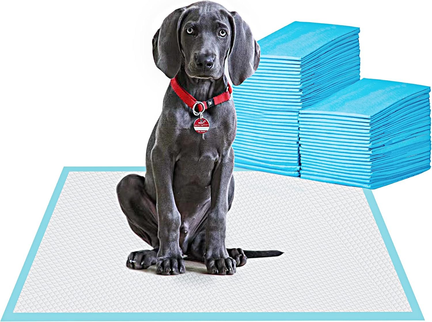 BESTLE Large Pet Training and Puppy Pads Pee Pad for Dogs 24″x24″-80 Count Super Absorbent & Leak-Proof