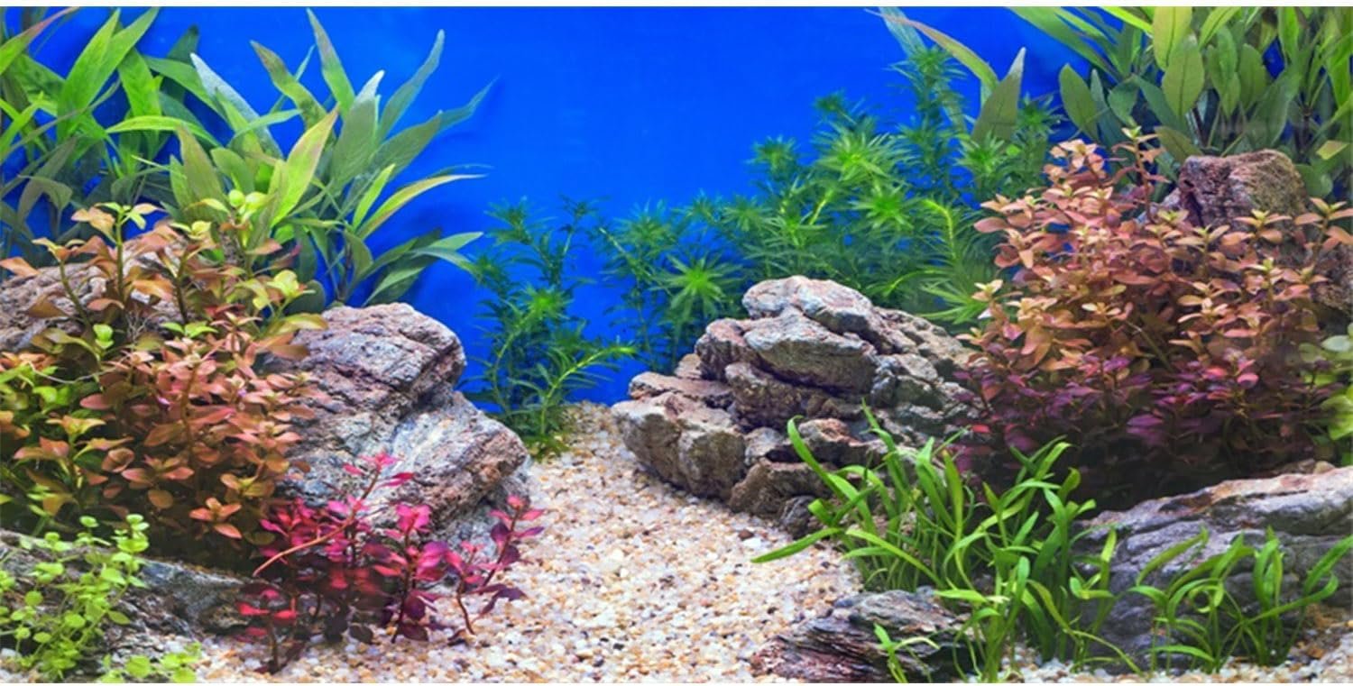 AWERT 30×18 in Aquatic Plant Fish Tank Background Stone Aquarium Backdrop | River Bed & Lake Vinyl Terrarium Background