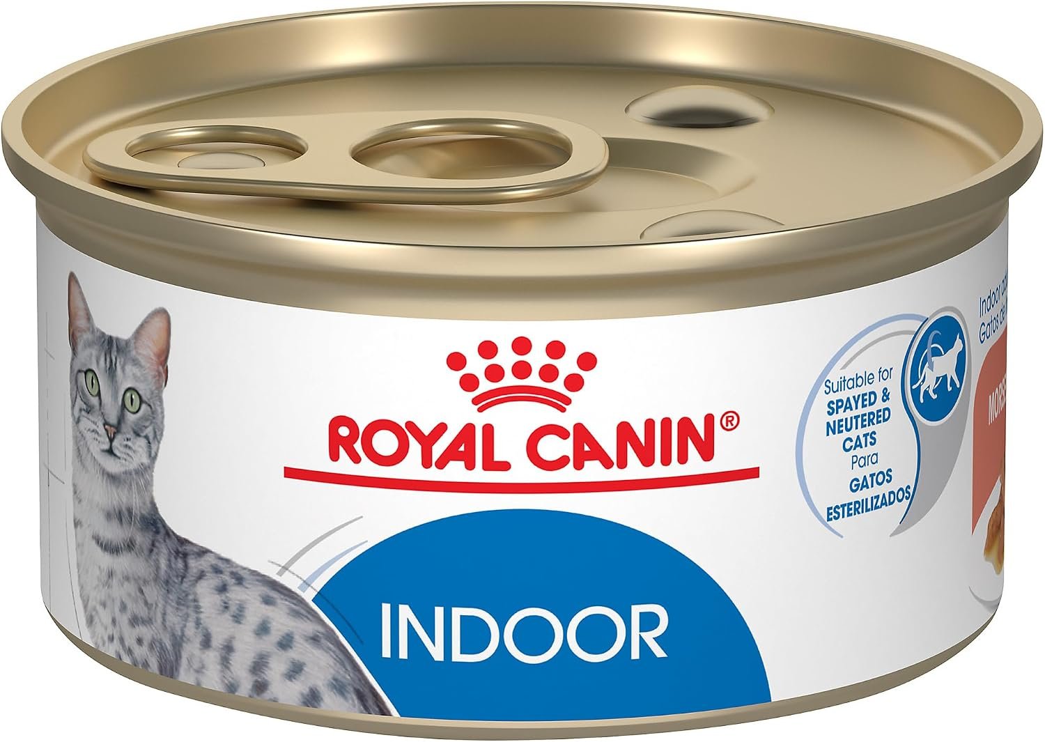 Royal Canin Feline Health Nutrition Indoor Adult Morsels in Gravy Cat Food, 3 oz (Pack of 24) | Supports Indoor Lifestyle, Optimal Health & Well-Being, For Adult Cats, Canned Cat Food, Developed by Veterinarians