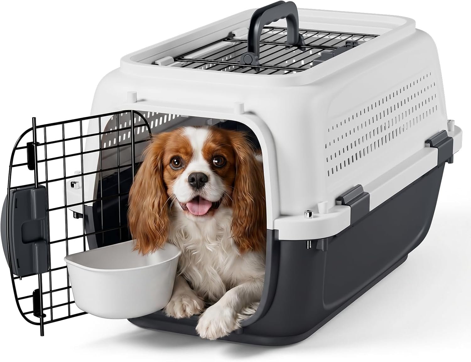 Magshion 22 Inch Hard-Sided Dog Cat Carrier, Grey