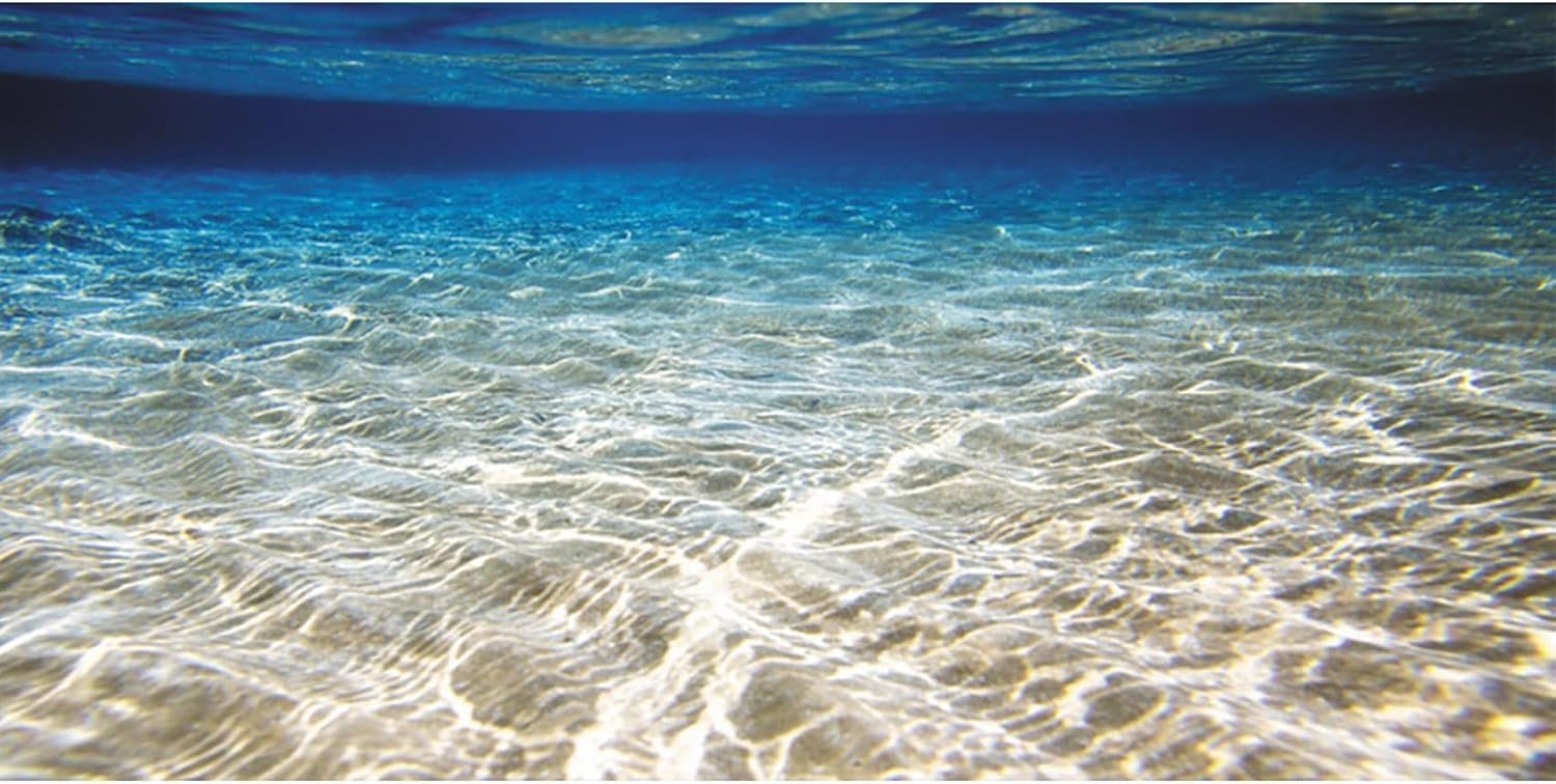 24×12 in Ocean Floor Aquarium Backdrop Underwater Fish Tank Background