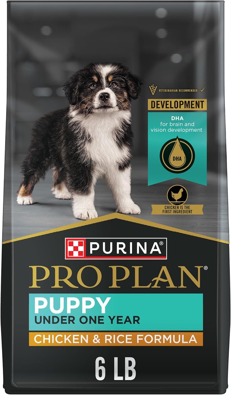 Purina Pro Plan High Protein Dry Puppy Food, Chicken & Rice, 6 lb Bag | Development puppy food with DHA for brain and vision development and calcium to build strong bones and teeth