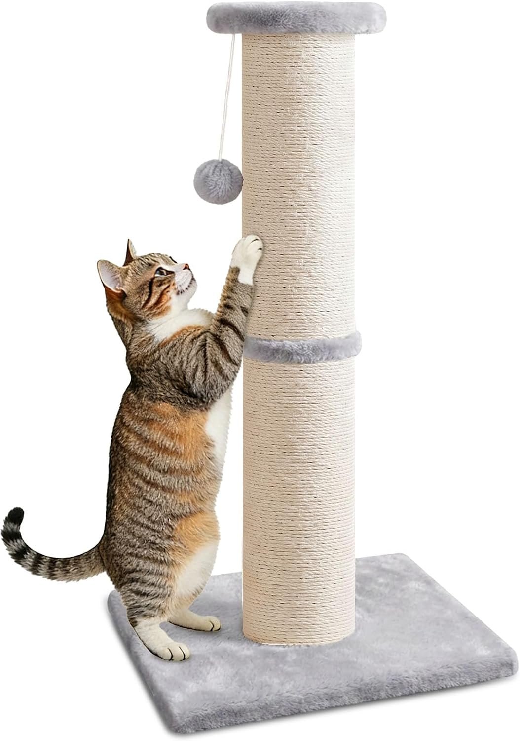 PAWSCRAT 32″ Tall Cat Scratching Post, 5-Inch Diameter, Sisal, LightGrey