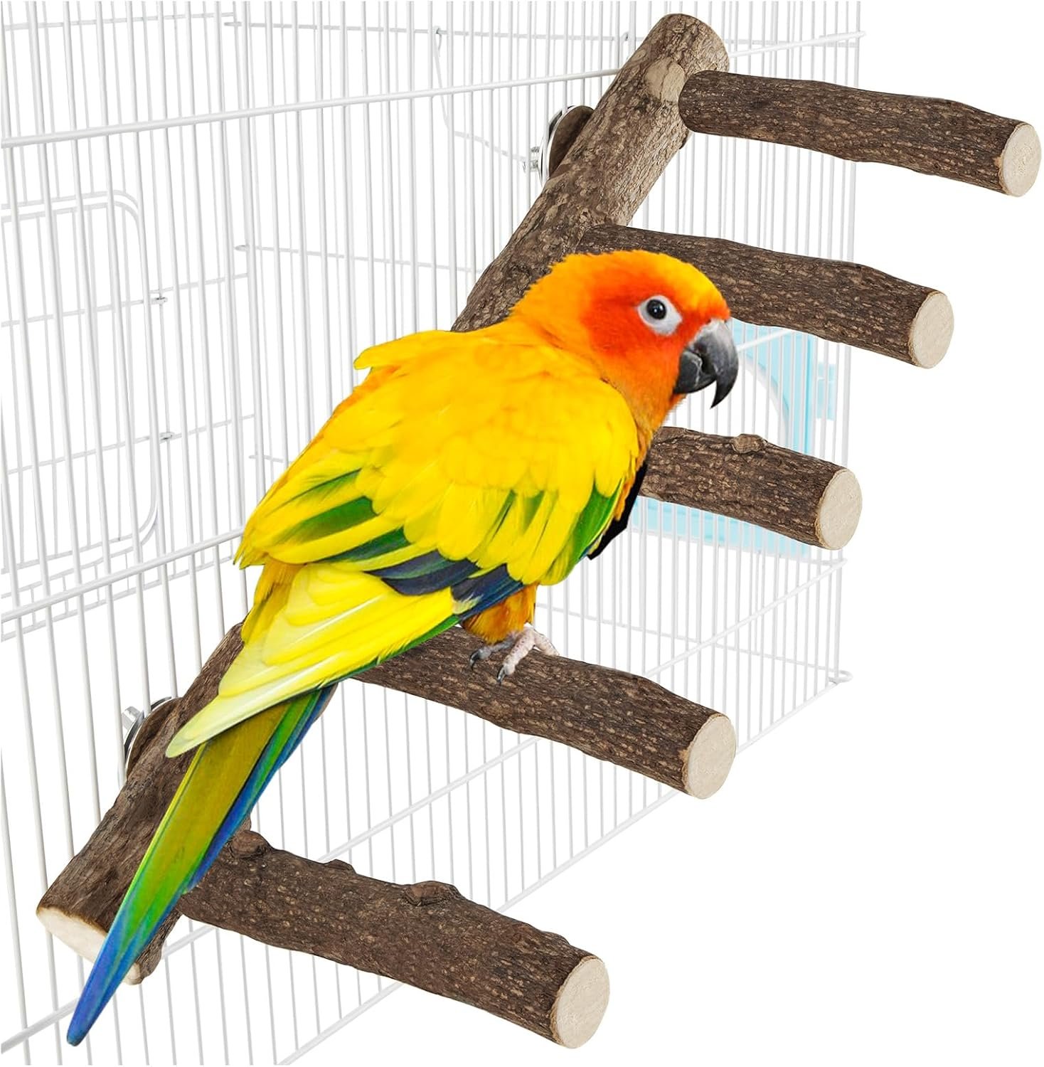 Parrot Wood Stand, Parrots Perch for Cage, Natural Bird Ladder