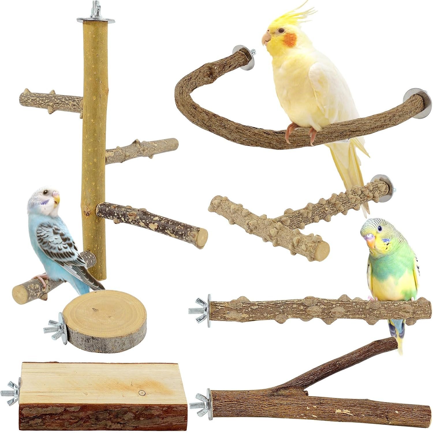 7PCS Natural Wood Bird Perches for Cage, Bird Parrot Parakeet Perch Stand, Bird Parakeet Cage Accessories, for Cockatiels Conure Budgies Small and Medium Parrots