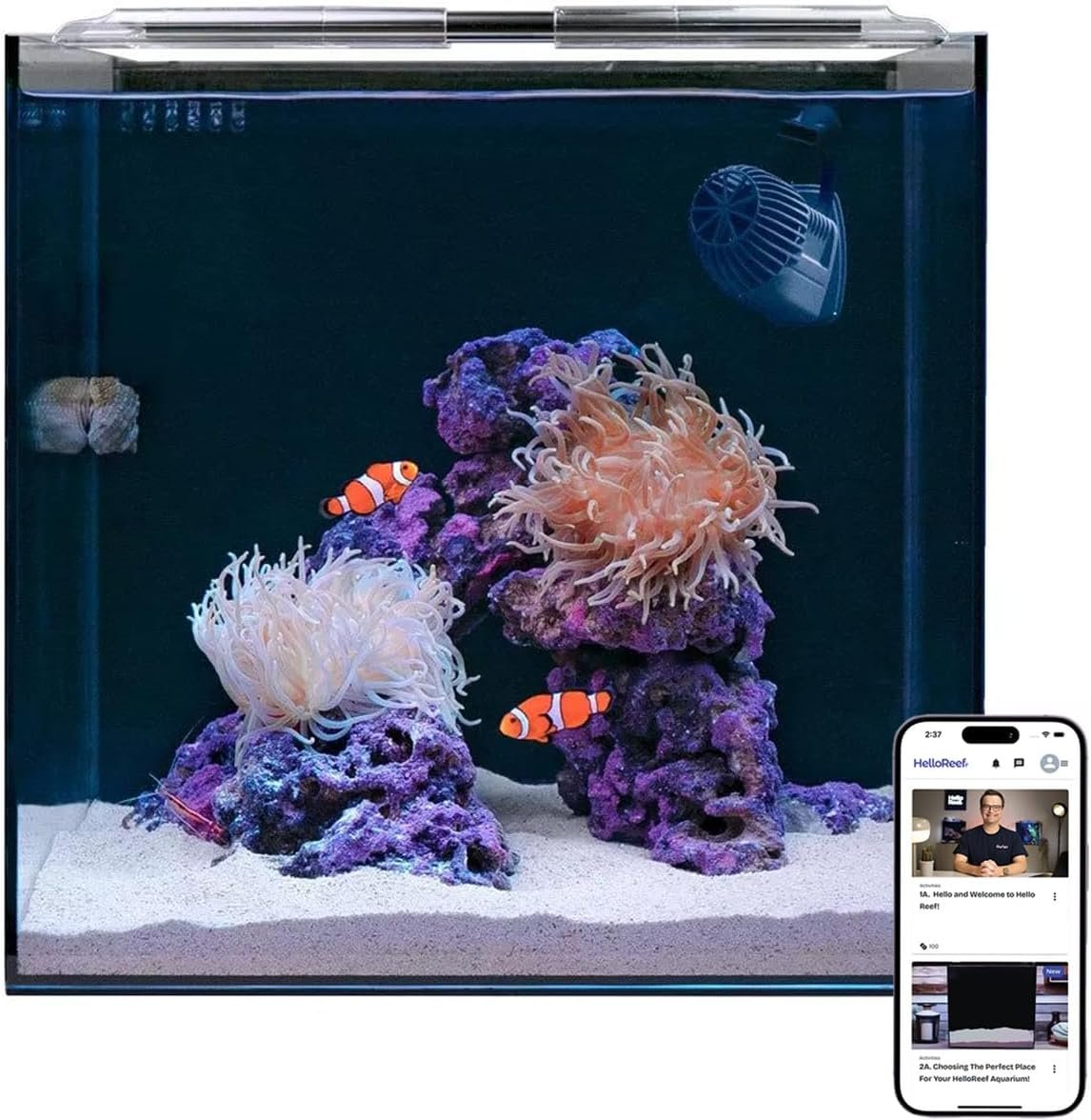 HelloReef 15 Gallon Beginner Clownfish Saltwater Aquarium Kit with App Controlled Smart LED Lighting, Filtration, Decor, and Setup Guide